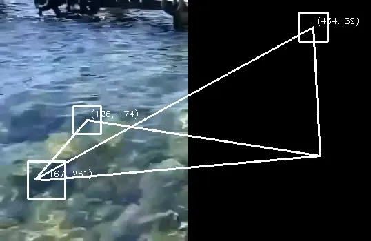 Blob detector project screenshot